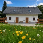 Apartment Zlati Rog Kranjska Gora