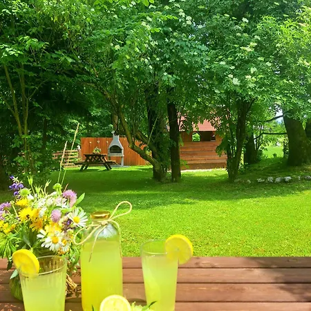 Zlati Rog Краньска Гора