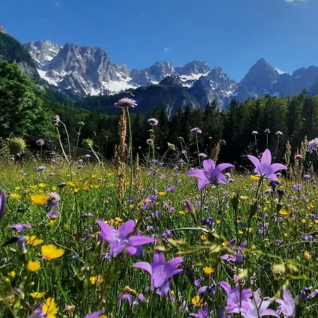 Zlati Rog Kranjska Gora