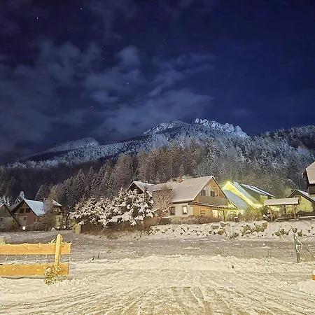 Daire Zlati Rog