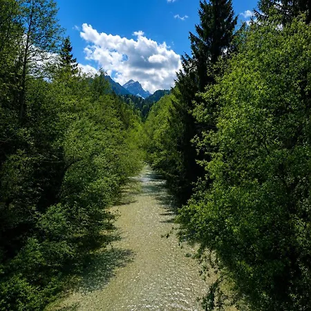 Διαμέρισμα Zlati Rog Kranjska Gora